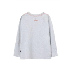Joules Grey Finlay Long Sleeve Screenprint T-Shirt -Joules Shop unnamed file 1087