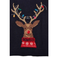 Joules Blue Cracking Intarsia Family Christmas Jumper 11 Joules Blue Cracking Intarsia Family Christmas Jumper -Joules Shop unnamed file 1568