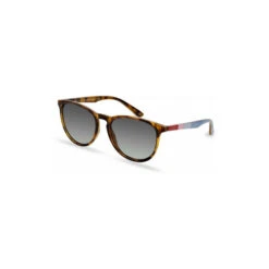 Joules Brown Padstow Sunglasses