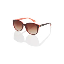Joules Vintage Brown Round Eye Dual Colour Sunglasses