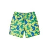 Joules Green Ocean Swim Shorts